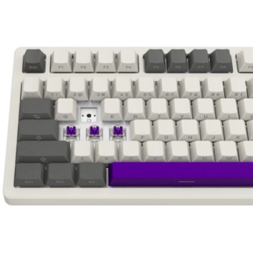 Клавиатура Lorgar KBP70TKLW Wireless TKL Mechanical Pro UA Beige (LRG-KBP70TKLW-RT-US)