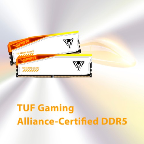 Модуль памяти для компьютера DDR5 32GB (2x16GB) 6600 MHz Viper Elite 5 RGB Patriot (PVER532G66C34KT)