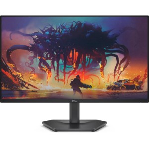 Монитор Dell SE2425HG (210-BSNR)
