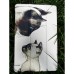 Чехол для планшета BeCover Smart Case Samsung Galaxy Tab A11 Plus SM-X236B 11.0" Cat (714014)