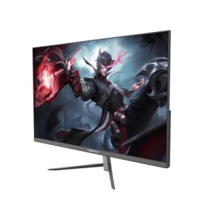 Монитор Gamemax GMX24F120