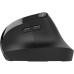 Мышка Jlab JBuds Vertical Ergonomic Wireless Black (IEUMJBERGORBLK82)