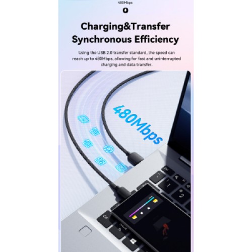 Дата кабель USB 2.0 AM to USB-C 3.0m 100W black Essager (EXC7A-WLC01-P)