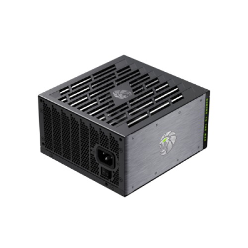 Блок питания Gamemax 1000W (Lion core 1000P)
