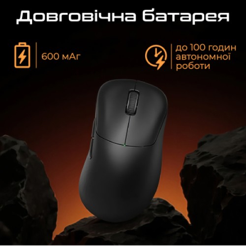 Мышка RAWM ER21 Wireless/Bluetooth Black (ER21.black)