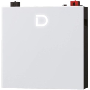 Батарея LiFePo4 Dyness DL5.0C Pro 51.2V - 100Ah (DL5.0C Pro)