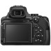 Цифровой фотоаппарат Nikon Coolpix P1100 (VQA170EA)