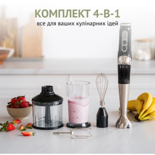 Блендер QUIN RHB-301