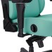 Кресло игровое Anda Seat Kaiser 4 Size L Green (AD12YDDC-L-20-E-PV/C) Кресло игровое Anda Seat Kaiser 4 Size L Green (AD12YDDC-L-20-E-PV/C)