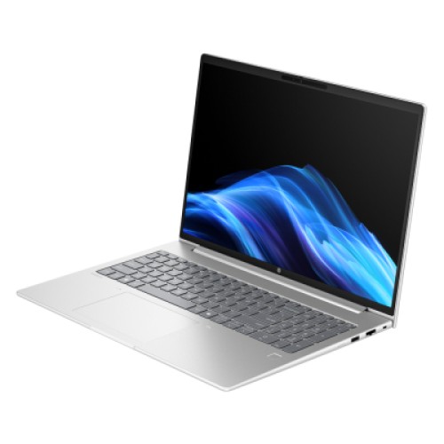 Ноутбук HP ProBook 4 G1a (C78GSET) Ноутбук HP ProBook 4 G1a (C78GSET)