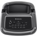 Акустическая система Defender Boomer 20 Black (65820)