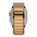 Ремешок для смарт-часов Armorstandart Alpina Band для Apple Watch 49/46/45/44/42 (Series 1-3) Tan (ARM82565) Ремешок для смарт-часов Armorstandart Alpina Band для Apple Watch 49/46/45/44/42 (Series 1-3) Tan (ARM82565)