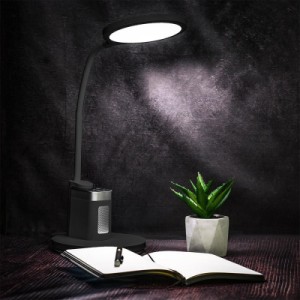 Настільна лампа Mealux DL-420 (BL-1136B Black)