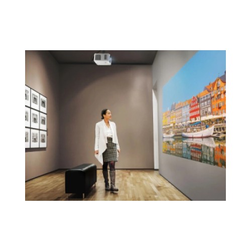 Проектор ViewSonic LSD400HD-ST (VS20642)