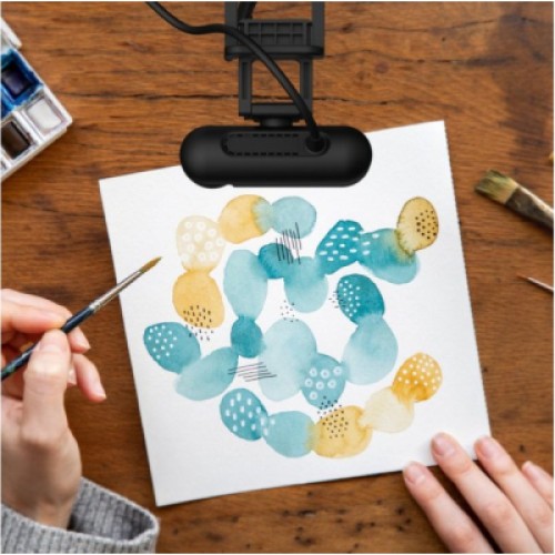 Веб-камера J5create JVU250-N Full HD USB-A/C (JVU250-N)