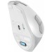 Мышка A4Tech FG35C Plus Wireless White (4711421002974)