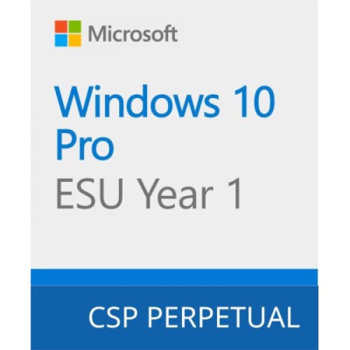 Операционная система Microsoft Windows 10 ESU Year 1 (2025 - 2026) Extended Security Updates (ESU) (DG7GMGF0SSGZ_0004)