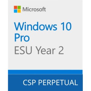 Операционная система Microsoft Windows 10 ESU Year 2 (2026 - 2027) Extended Security Updates (ESU) (DG7GMGF0SSGZ_0001)