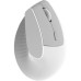 Мышка Ajazz i300 Wireless/Bluetooth/USB White (i300-W)