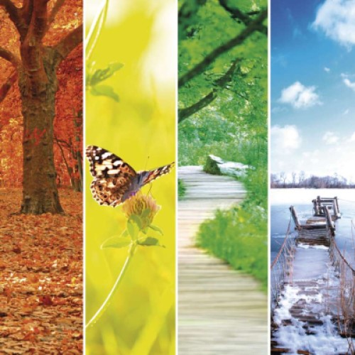 Датчик температуры EMOS E0042