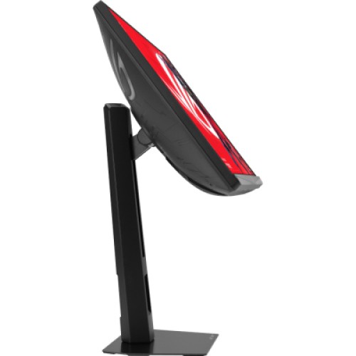 Монитор ASUS XG248QSG