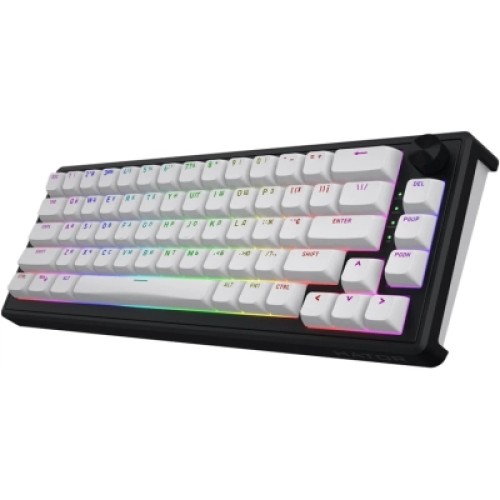 Клавиатура Hator Skyfall 65 Aurum Sterling RGB Wireless/Bluetooth/USB UA Black/White (HTK3160UA)