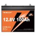 Батарея LiFePo4 YEAGULCH 12.8V - 100Ah (YEAGULCH-12,8V/100Ah) Батарея LiFePo4 YEAGULCH 12.8V - 100Ah (YEAGULCH-12,8V/100Ah)