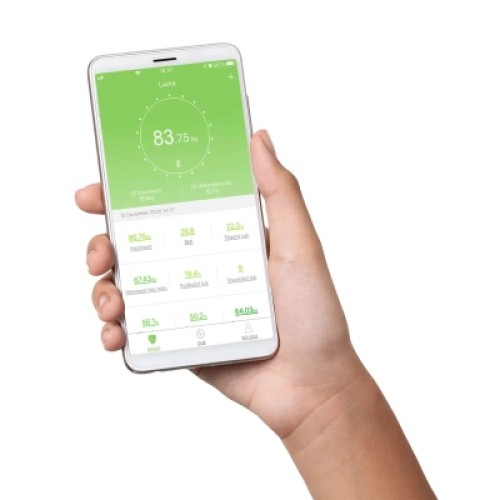 Весы напольные Concept VO4001