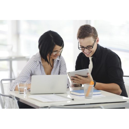 Антенна Wi-Fi Netgear 6000451-10000S