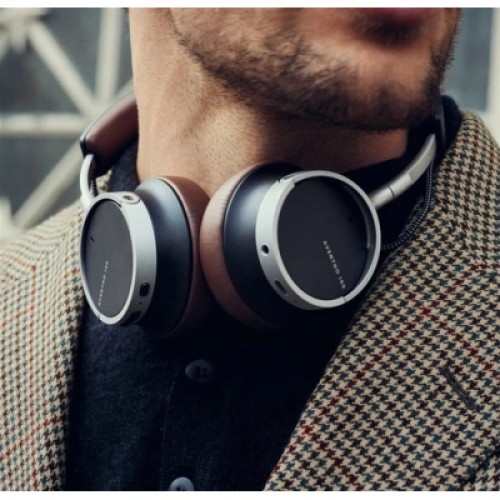 Наушники Beyerdynamic Aventho 100 Brown (531748) Наушники Beyerdynamic Aventho 100 Brown (531748)