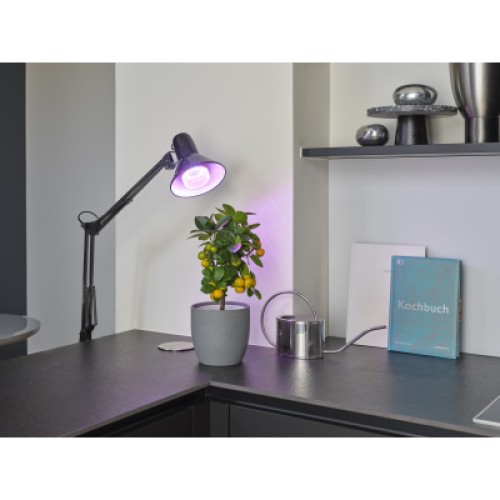 Лампочка Osram LED T60 GROW 10W CL 230V FR E27 (4058075845787) Лампочка Osram LED T60 GROW 10W CL 230V FR E27 (4058075845787)