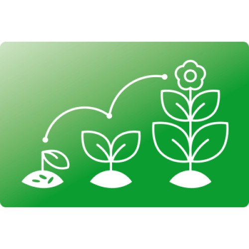 Лампочка Osram LED T60 GROW 10W CL 230V FR E27 (4058075845787) Лампочка Osram LED T60 GROW 10W CL 230V FR E27 (4058075845787)