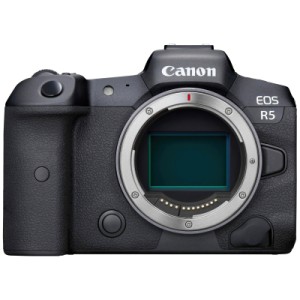 Цифровой фотоаппарат Canon EOS R5 body (4147C027)