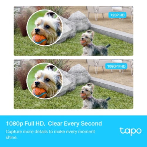 Камера видеонаблюдения TP-Link TAPO-C400S2