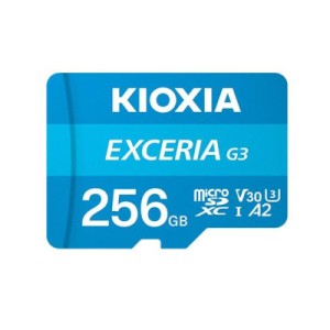 Карта пам'яті Kioxia 256GB microSDXC class 10 U3 V30 Exceria G3 (LMEX3L256GG2)
