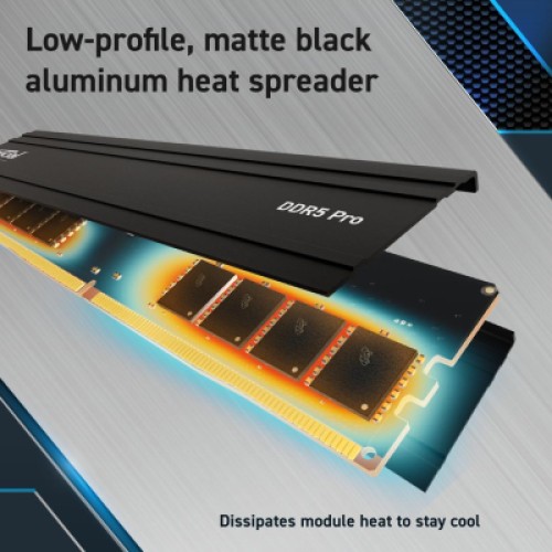Модуль памяти для компьютера DDR5 32GB 6000 MHz Pro Micron (CP32G60C40U5BT)