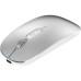 Мышка BAVIN G-K-991 RGB Wireless/Bluetooth Silver (G-K-991-SV)