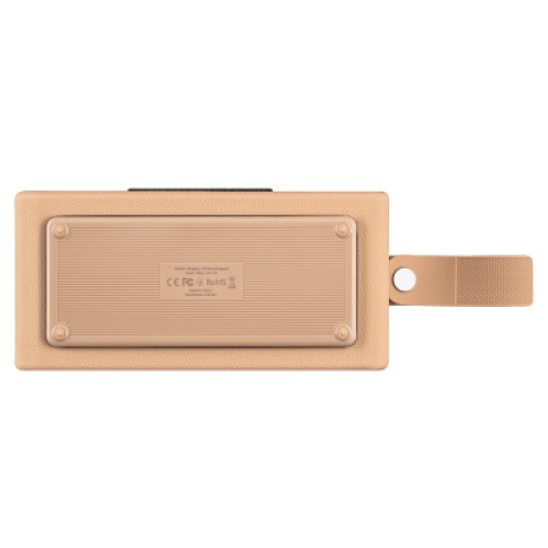 Акустическая система 2E SoundLegend PowerBank IPX6 RGB Brown (2E-BSSLWBN)