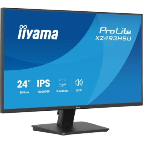 Монитор iiyama X2493HSU-B1 Монитор iiyama X2493HSU-B1