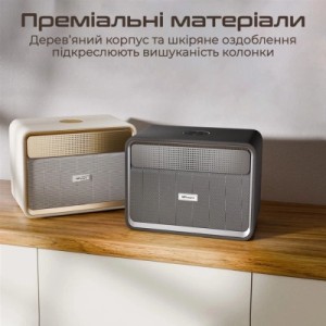 Акустична система HiFuture Passion X Black (passion-x.black)