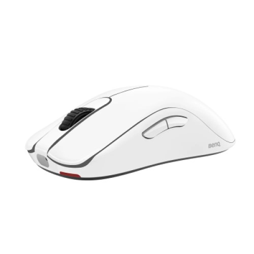 Мышка Zowie FK2DW Wireless White (9H.N4MBE.A3E)