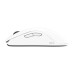 Мышка Zowie FK2DW Wireless White (9H.N4MBE.A3E)