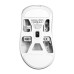 Мышка Pulsar Xlite Crazylight Medium 8К Wireless White (PXLCL202) Мышка Pulsar Xlite Crazylight Medium 8К Wireless White (PXLCL202)