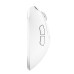 Мышка Pulsar Xlite Crazylight Medium 8К Wireless White (PXLCL202) Мышка Pulsar Xlite Crazylight Medium 8К Wireless White (PXLCL202)