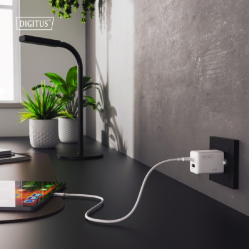 Зарядное устройство Digitus 1xUSB-C + 1xUSB PD45W GaN white (DA-10302) Зарядное устройство Digitus 1xUSB-C + 1xUSB PD45W GaN white (DA-10302)