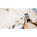Стекло защитное Belkin Titan EcoGuard Samsung Galaxy S26+ (OVB079HQ)