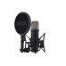 Микрофон Rode NT1GEN5B (233985)