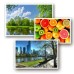 Фотобумага ColorWay A4 180г glossy 50л (PG180050A4)