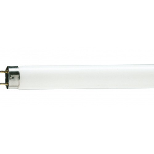 Лампочка Philips TL-D G13 600mm 18W/33-640 1SL/25 (928048003351)