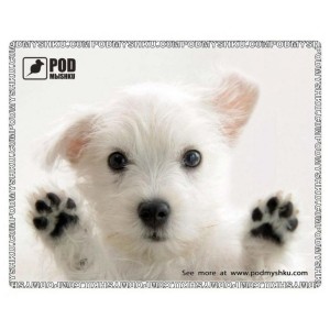 Коврик для мышки Pod Mishkou Лапи вгору